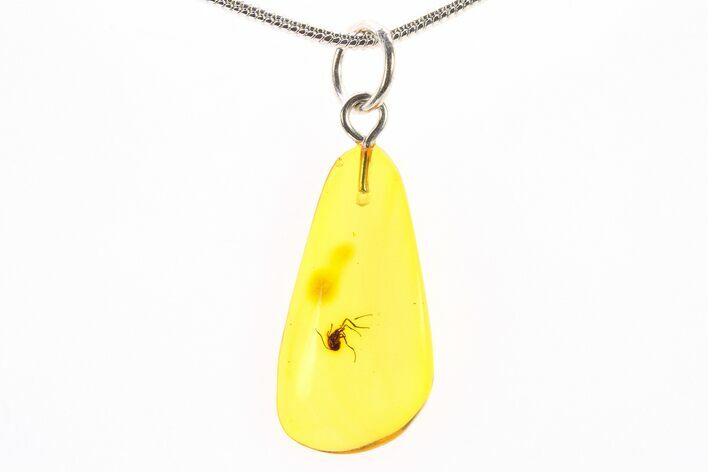 Polished Baltic Amber Pendant (Necklace) - Contains Partial Fly! #288762